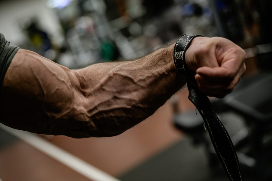 10 Best Exercises For Bigger Forearms and Serious Grip Strength